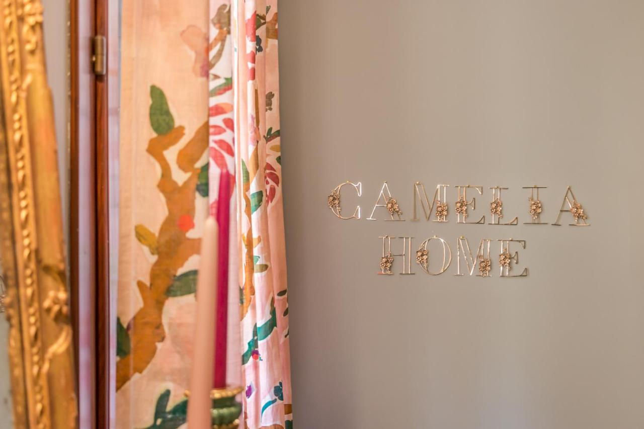 טרוויסו Camelia Home Suite מראה חיצוני תמונה